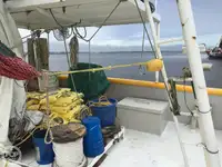 拖网渔船 待售