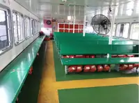 渡轮 待售