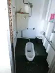 邮轮 待售