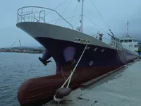 General Cargo/Multi-purpose 待售