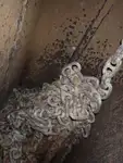 散货船 待售