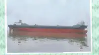 集装箱船 出售