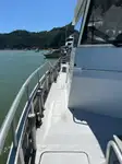 双体船 待售