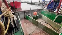 活鱼运输船 待售