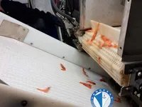 拖网渔船 待售