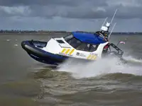 集装箱船 待售