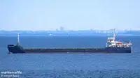 散货船 出售