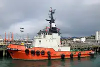 拖船 待售