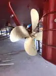 邮轮 待售