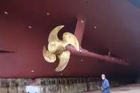 邮轮 待售
