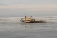 拖船 出售