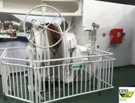 RoPax船 待售