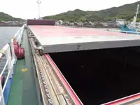 散货船 待售