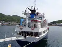 散货船 出售