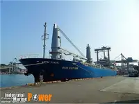 散货船 待售