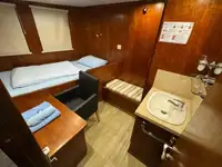 集装箱船 待售