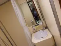 散货船 待售