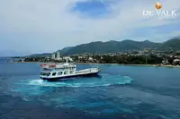渡轮 待售