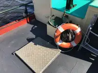 拖船 待售