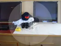 拖网渔船 待售