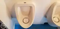 双体船 待售