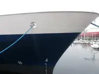 集装箱船 出售