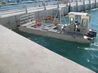 集装箱船 待售