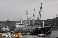 散货船 待售