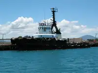 拖船 出售