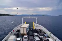 RoPax船 待售