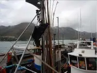 拖网渔船 待售
