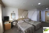 滚装船 待售