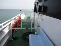 双体船 待售