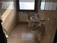 集装箱船 待售