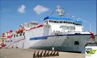 Ro-Ro ship 出售