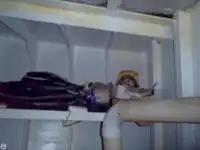 拖船 待售