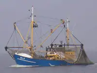 Trawler 出售
