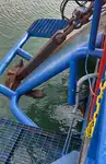 油/化学品油轮 待售