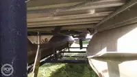 集装箱船 待售