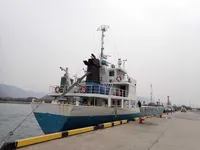 General Cargo/Multi-purpose 待售