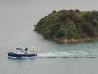 双体船 待售