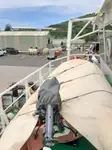 拖船 待售