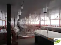 邮轮 待售