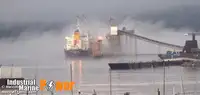 散货船 待售