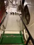 拖船 待售