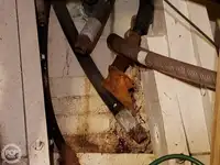 渡轮 待售