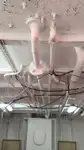 拖船 待售