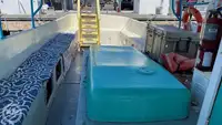 邮轮 待售