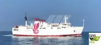 Ro-Ro ship 出售