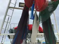 拖网渔船 待售